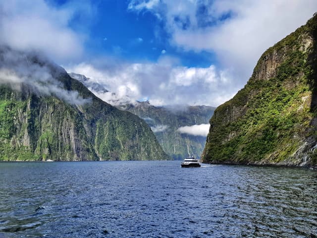 new zealand
